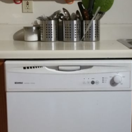 river-vs-dishwasher